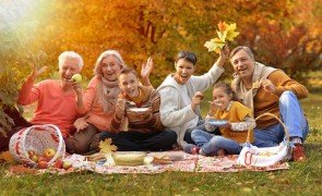 família reunida para fazer piquenique no parque